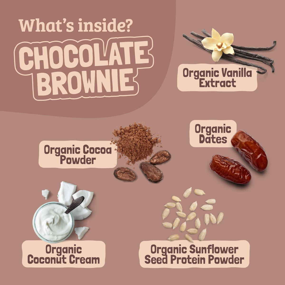 Skout Organic Chocolate Brownie Kids Bar Organic Kids Bars Skout Organic 