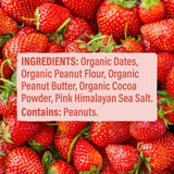 Skout Organic Peanut Butter & Jelly Kids Bar Organic Kids Bars Skout Organic 