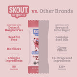 Skout Organic Raspberry Rush Kids Bar Organic Kids Bars Skout Organic 