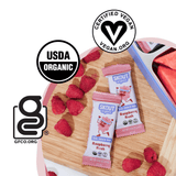 Skout Organic Raspberry Rush Kids Bar Organic Kids Bars Skout Organic 